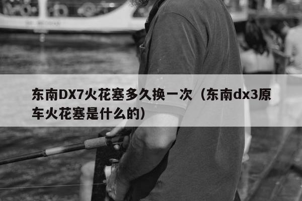 东南DX7火花塞多久换一次（东南dx3原车火花塞是什么的）