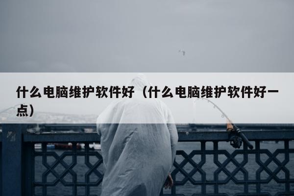 什么电脑维护软件好（什么电脑维护软件好一点）