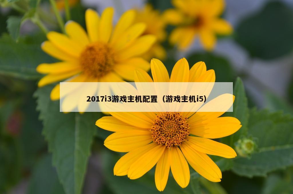 2017i3游戏主机配置（游戏主机i5）