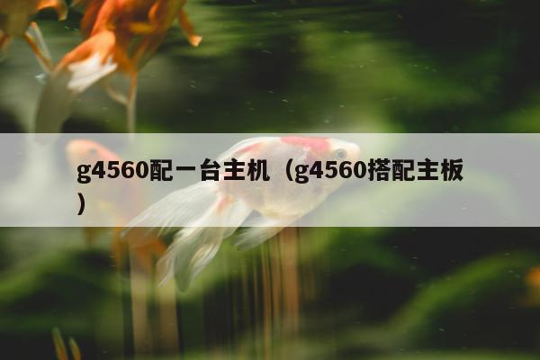 g4560配一台主机（g4560搭配主板）