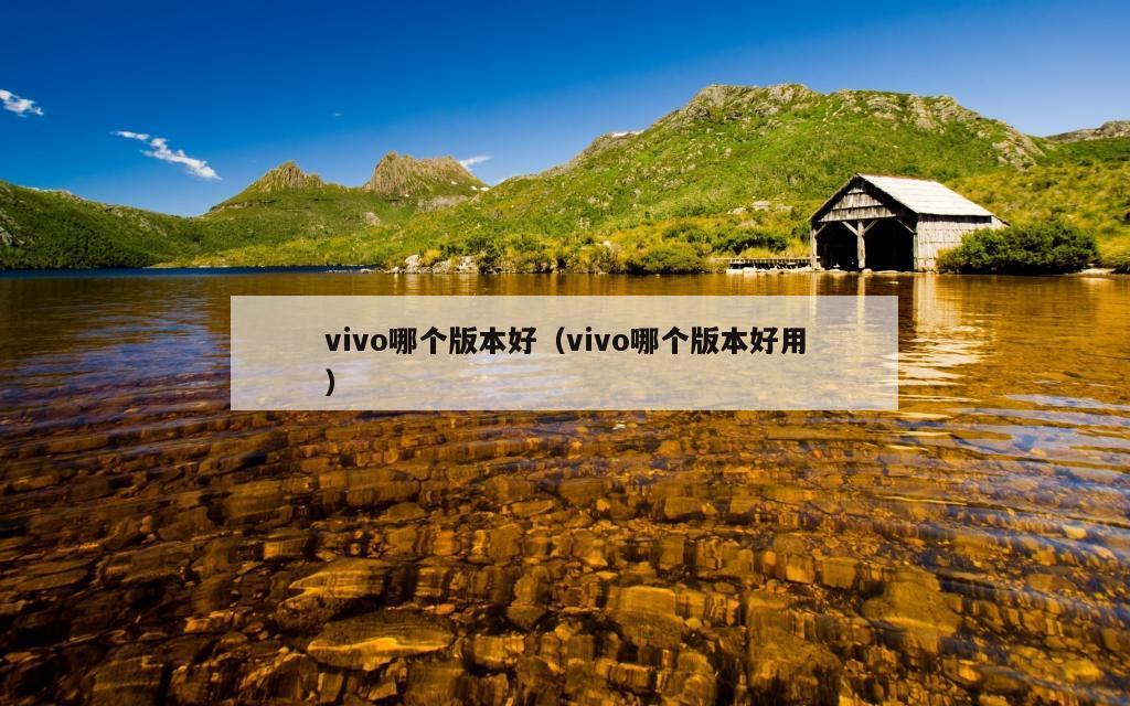 vivo哪个版本好（vivo哪个版本好用）