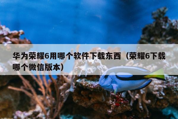 华为荣耀6用哪个软件下载东西（荣耀6下载哪个微信版本）