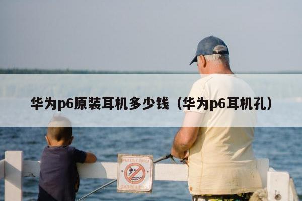 华为p6原装耳机多少钱（华为p6耳机孔）