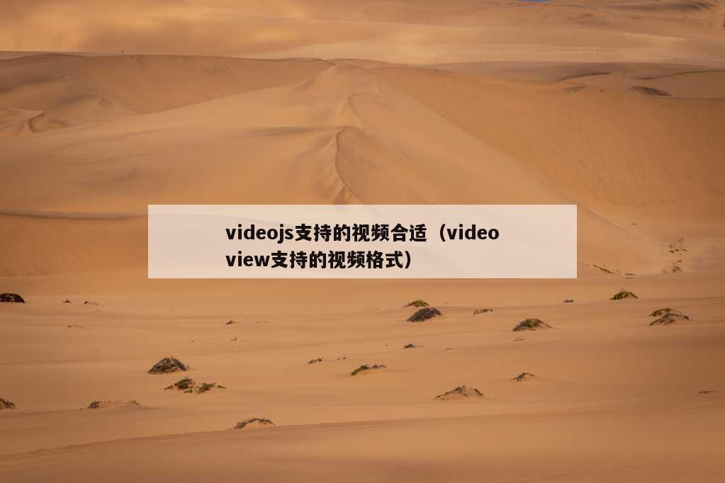 videojs支持的视频合适（videoview支持的视频格式）