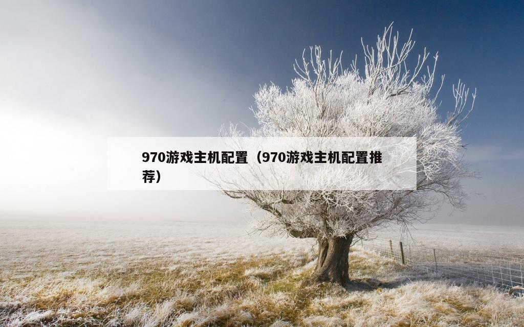 970游戏主机配置（970游戏主机配置推荐）