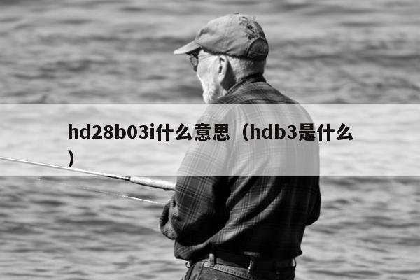 hd28b03i什么意思（hdb3是什么）