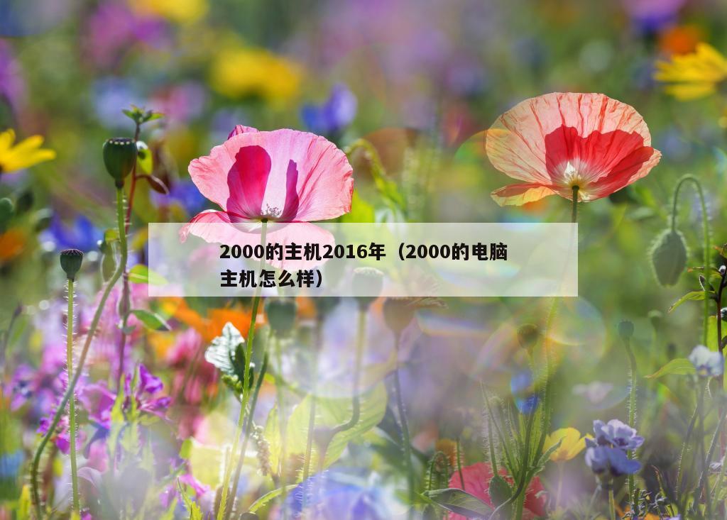 2000的主机2016年（2000的电脑主机怎么样）