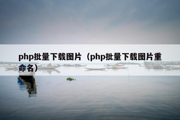 php批量下载图片（php批量下载图片重命名）