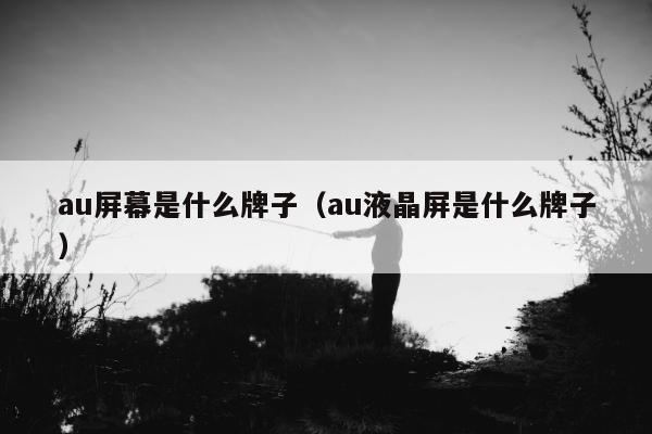 au屏幕是什么牌子（au液晶屏是什么牌子）