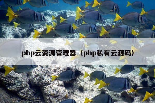 php云资源管理器（php私有云源码）