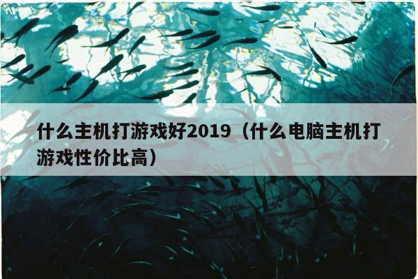 什么主机打游戏好2019（什么电脑主机打游戏性价比高）