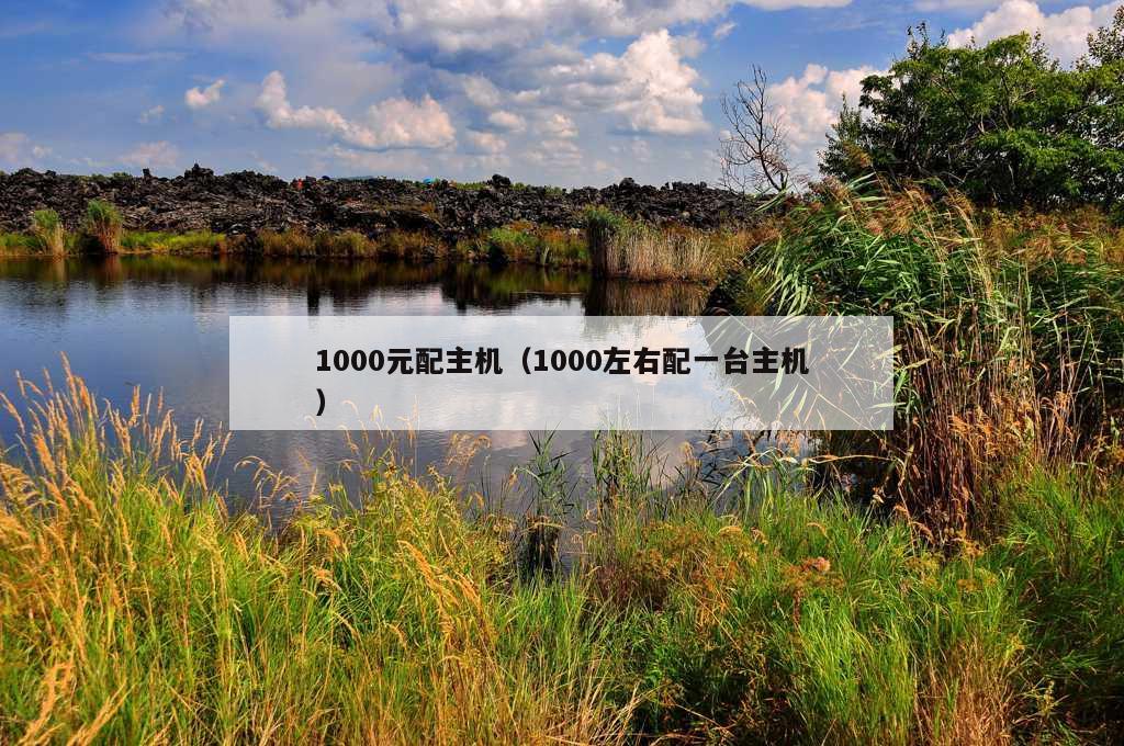 1000元配主机（1000左右配一台主机）