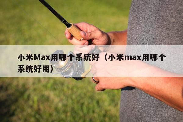 小米Max用哪个系统好（小米max用哪个系统好用）