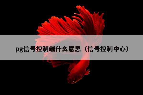 pg信号控制端什么意思（信号控制中心）