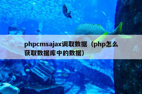 phpcmsajax调取数据（php怎么获取数据库中的数据）