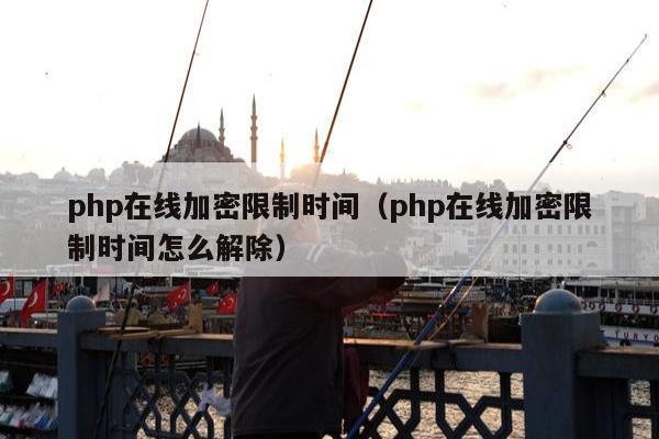 php在线加密限制时间（php在线加密限制时间怎么解除）