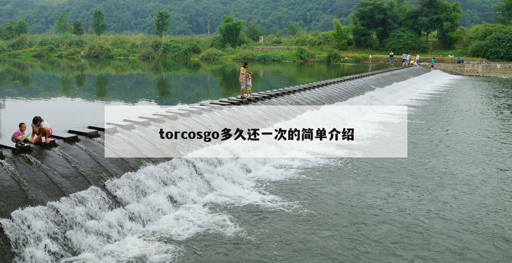 torcosgo多久还一次的简单介绍