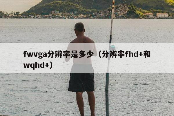 fwvga分辨率是多少（分辨率fhd+和wqhd+）