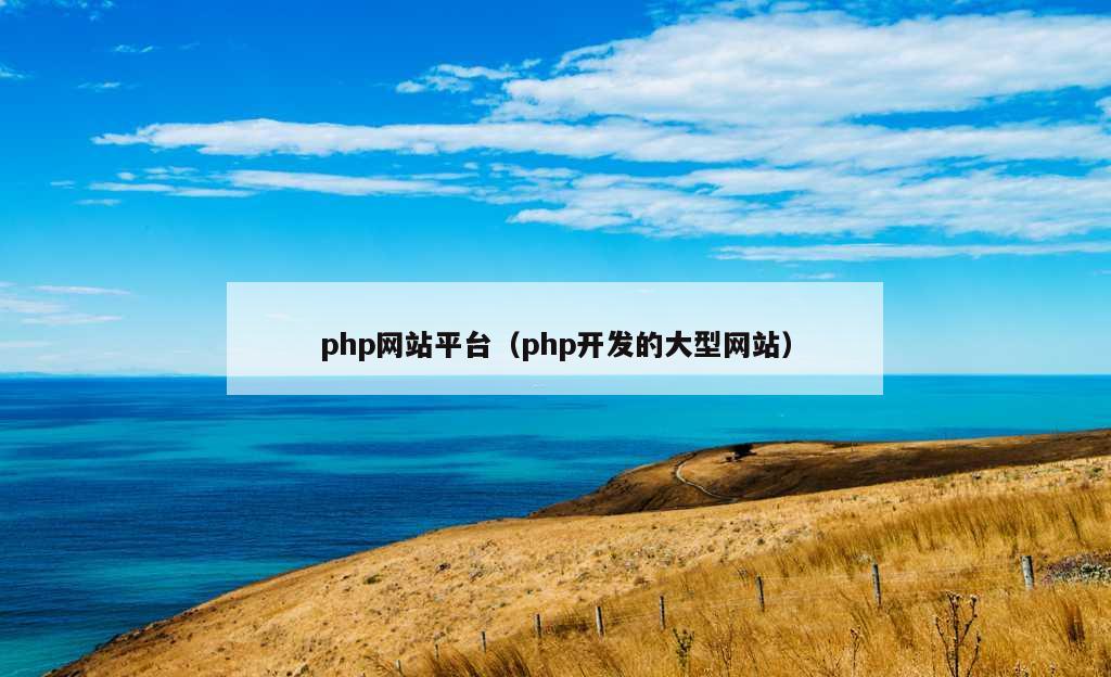 php网站平台（php开发的大型网站）