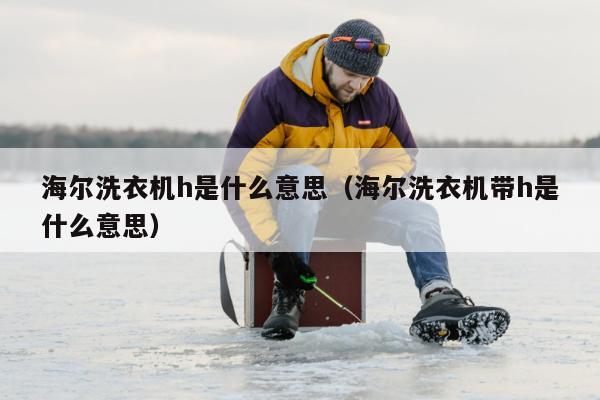 海尔洗衣机h是什么意思（海尔洗衣机带h是什么意思）