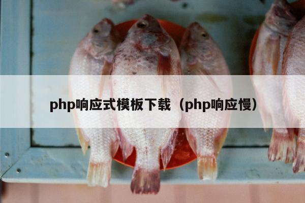 php响应式模板下载（php响应慢）