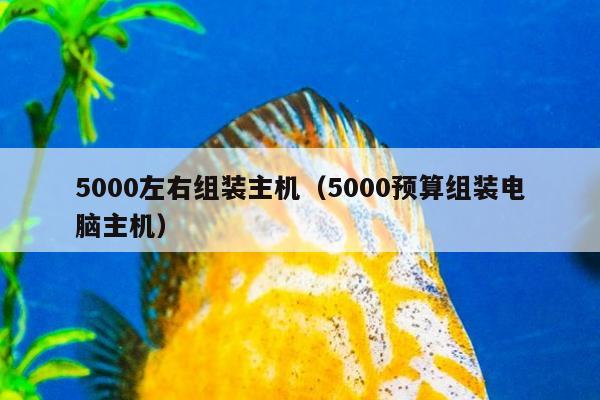 5000左右组装主机（5000预算组装电脑主机）