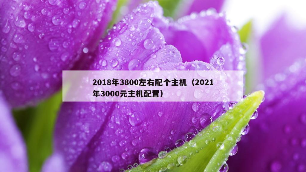 2018年3800左右配个主机（2021年3000元主机配置）