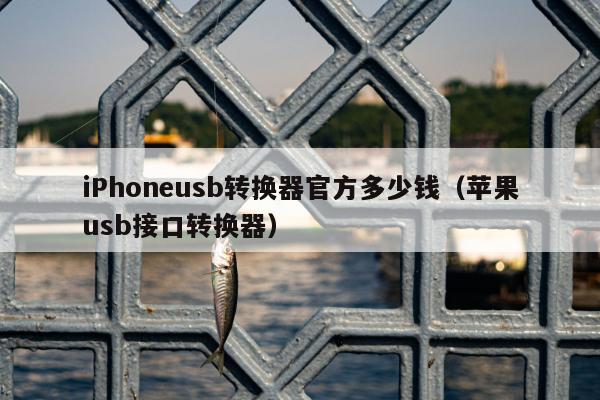 iPhoneusb转换器官方多少钱（苹果usb接口转换器）