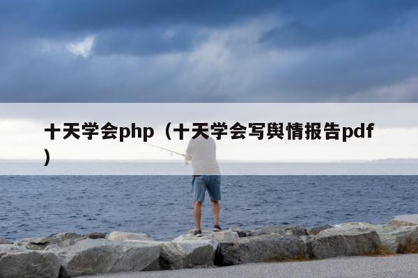 十天学会php（十天学会写舆情报告pdf）