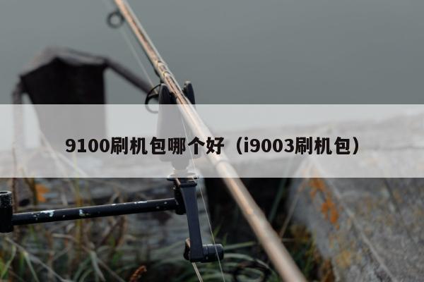 9100刷机包哪个好（i9003刷机包）