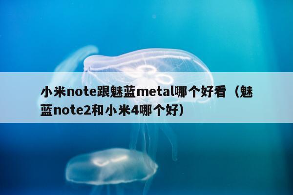 小米note跟魅蓝metal哪个好看（魅蓝note2和小米4哪个好）