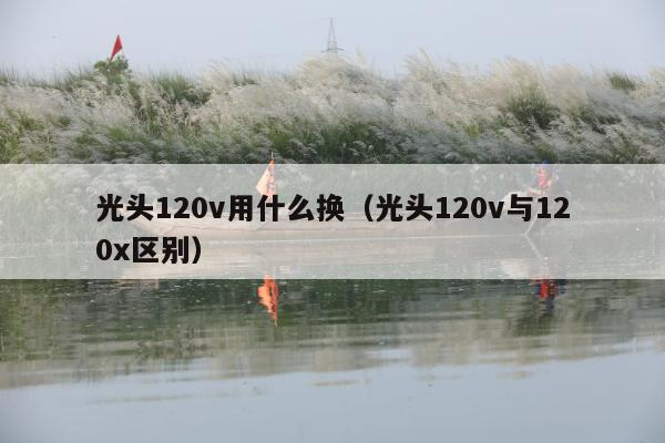 光头120v用什么换（光头120v与120x区别）