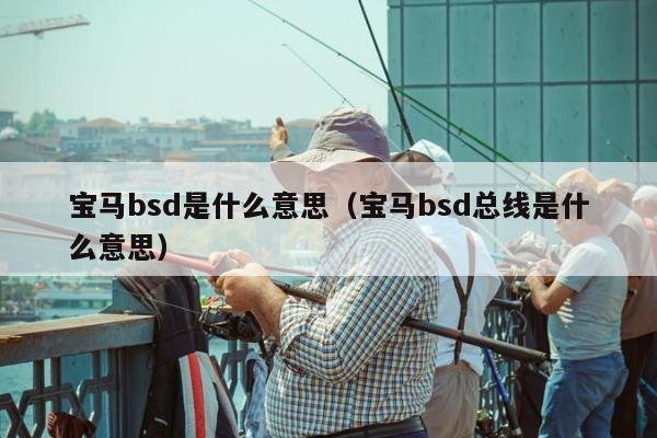 宝马bsd是什么意思（宝马bsd总线是什么意思）