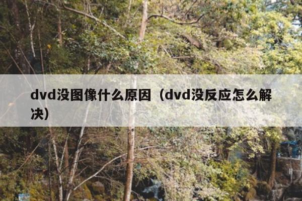 dvd没图像什么原因（dvd没反应怎么解决）