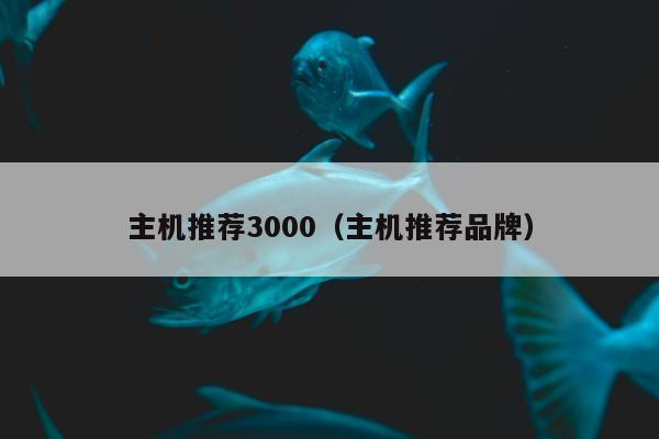 主机推荐3000（主机推荐品牌）