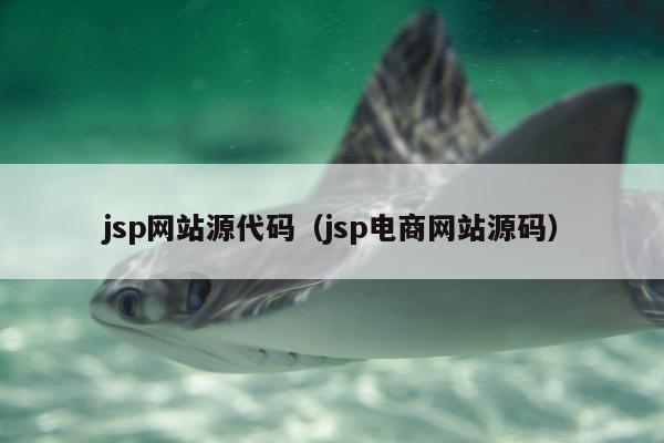 jsp网站源代码（jsp电商网站源码）