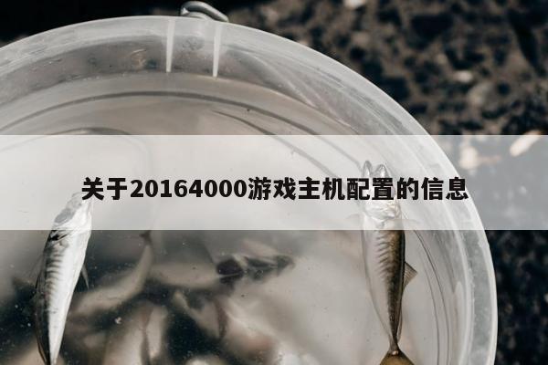 关于20164000游戏主机配置的信息