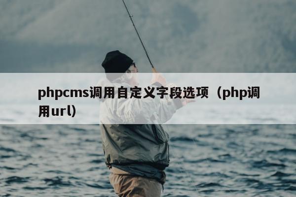 phpcms调用自定义字段选项（php调用url）