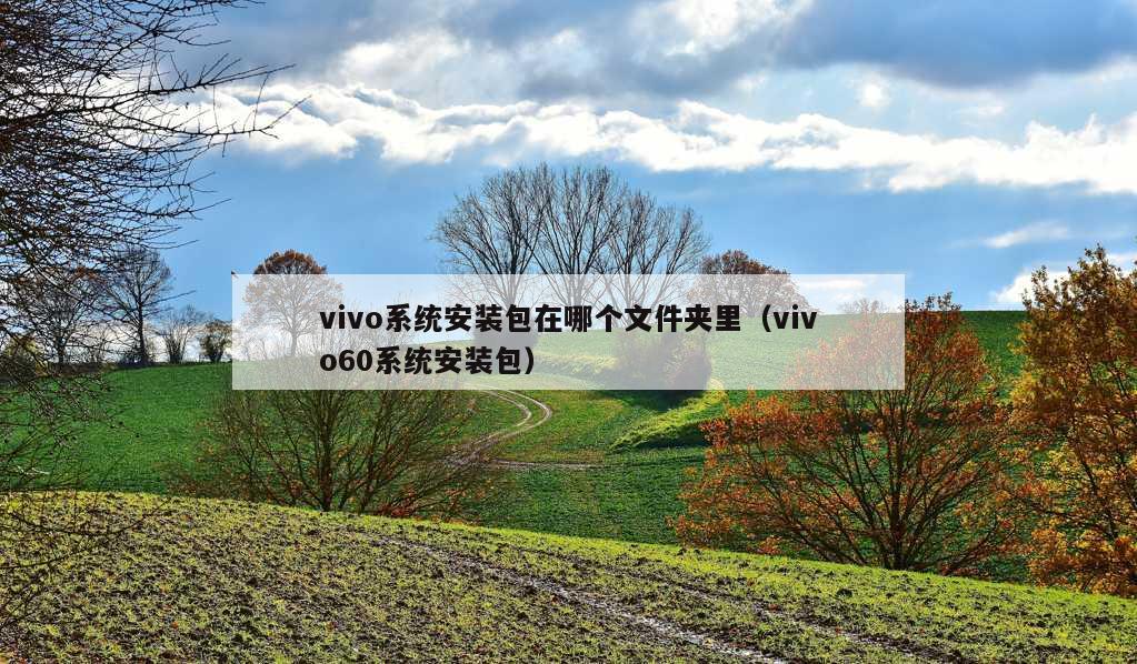 vivo系统安装包在哪个文件夹里（vivo60系统安装包）