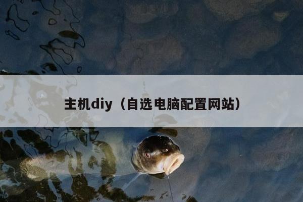 主机diy（自选电脑配置网站）