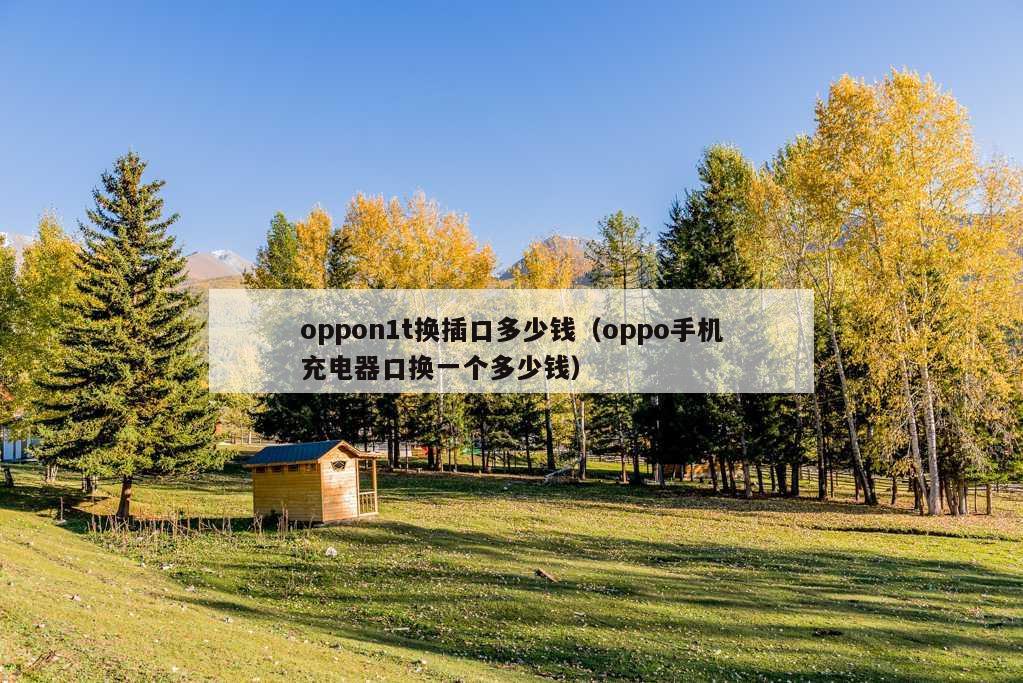 oppon1t换插口多少钱（oppo手机充电器口换一个多少钱）