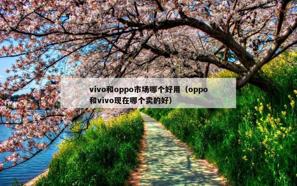 vivo和oppo市场哪个好用（oppo和vivo现在哪个卖的好）