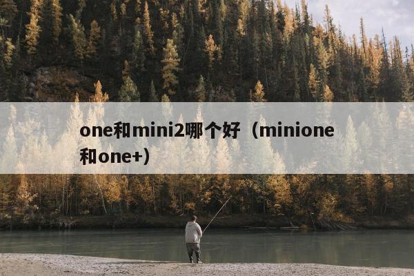 one和mini2哪个好（minione和one+）