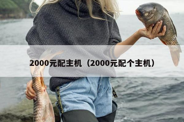 2000元配主机（2000元配个主机）