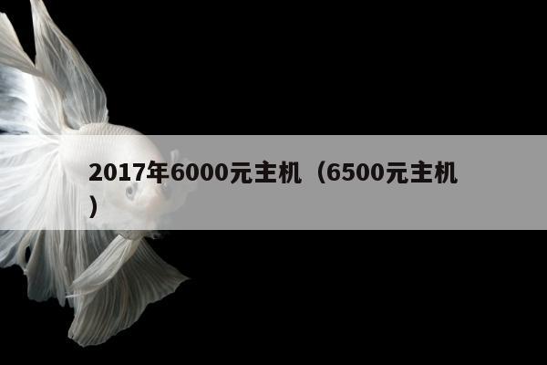 2017年6000元主机（6500元主机）