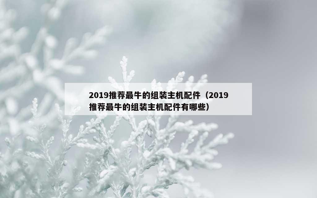 2019推荐最牛的组装主机配件（2019推荐最牛的组装主机配件有哪些）