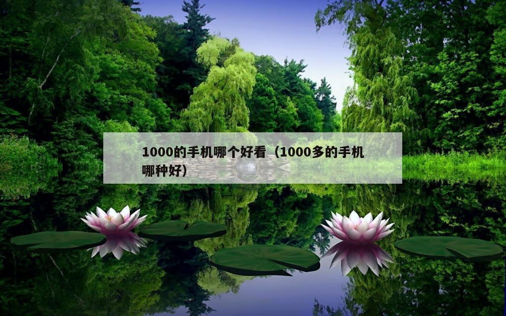 1000的手机哪个好看（1000多的手机哪种好）