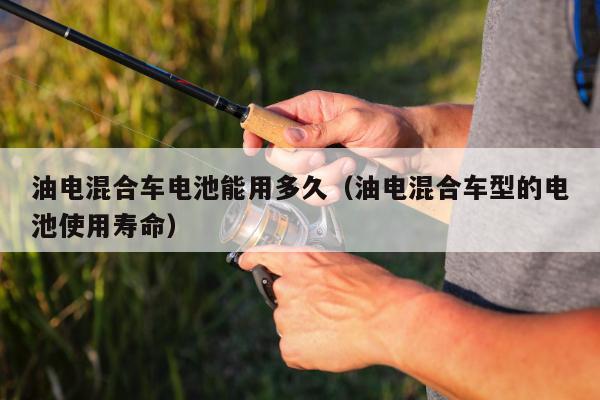 油电混合车电池能用多久（油电混合车型的电池使用寿命）