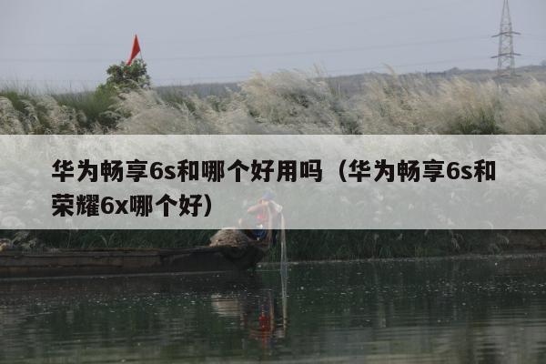 华为畅享6s和哪个好用吗（华为畅享6s和荣耀6x哪个好）