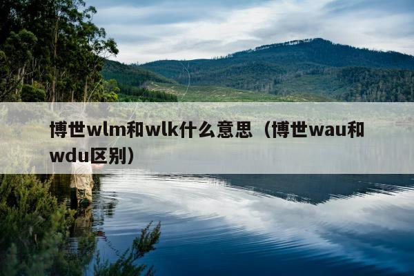 博世wlm和wlk什么意思（博世wau和wdu区别）